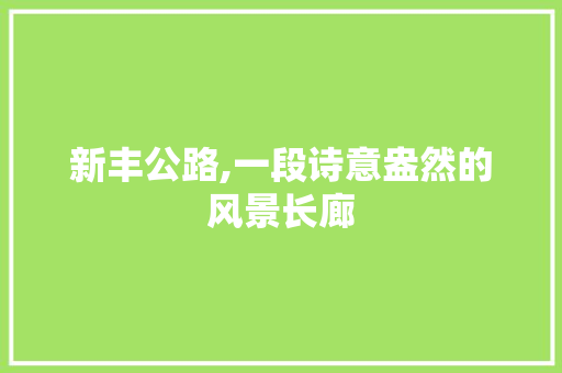 新丰公路,一段诗意盎然的风景长廊