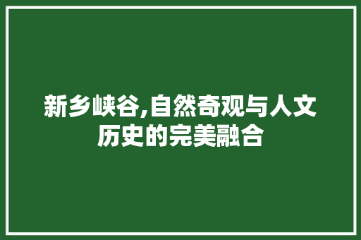 新乡峡谷,自然奇观与人文历史的完美融合