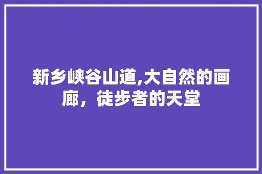 新乡峡谷山道,大自然的画廊，徒步者的天堂