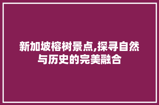 新加坡榕树景点,探寻自然与历史的完美融合