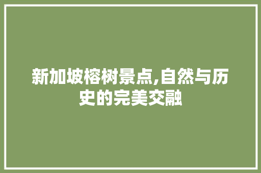 新加坡榕树景点,自然与历史的完美交融