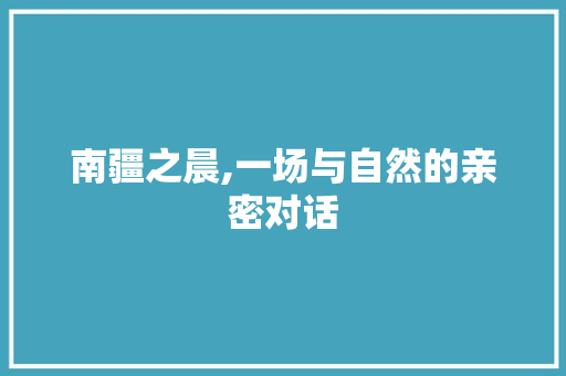 南疆之晨,一场与自然的亲密对话