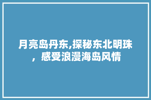 月亮岛丹东,探秘东北明珠，感受浪漫海岛风情