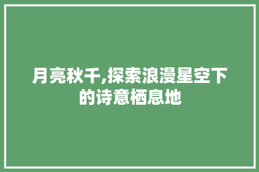 月亮秋千,探索浪漫星空下的诗意栖息地