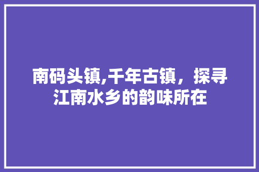 南码头镇,千年古镇，探寻江南水乡的韵味所在