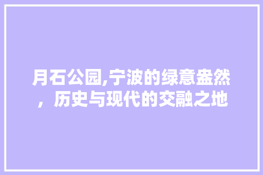 月石公园,宁波的绿意盎然，历史与现代的交融之地