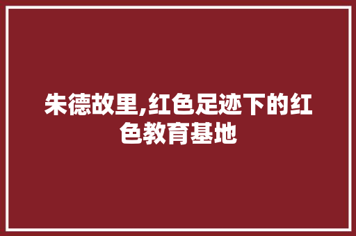 朱德故里,红色足迹下的红色教育基地  第1张