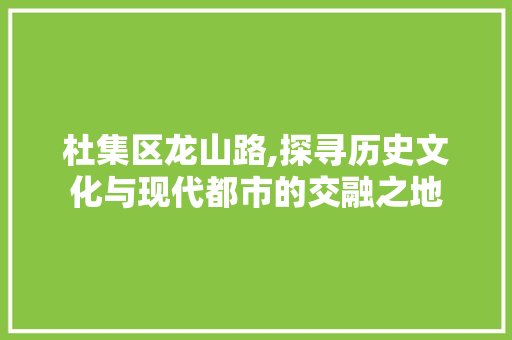 杜集区龙山路,探寻历史文化与现代都市的交融之地