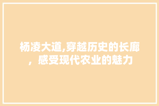 杨凌大道,穿越历史的长廊，感受现代农业的魅力