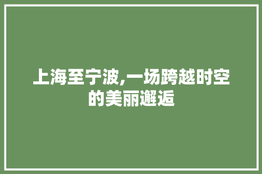 上海至宁波,一场跨越时空的美丽邂逅  第1张