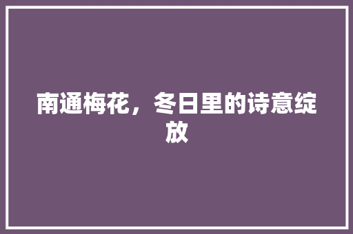 南通梅花，冬日里的诗意绽放