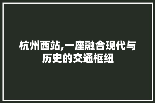 杭州西站,一座融合现代与历史的交通枢纽