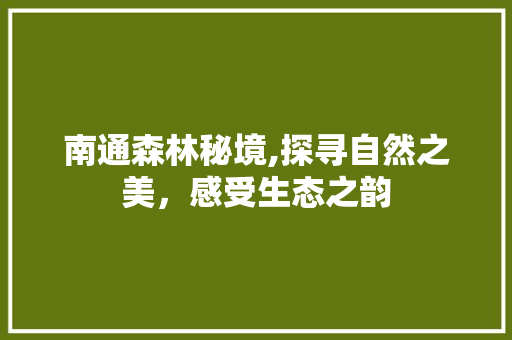 南通森林秘境,探寻自然之美，感受生态之韵