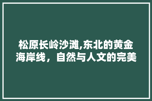 松原长岭沙滩,东北的黄金海岸线，自然与人文的完美融合