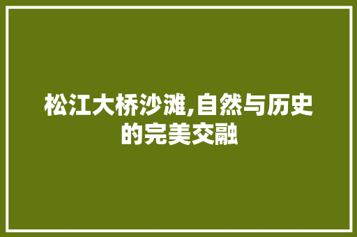 松江大桥沙滩,自然与历史的完美交融