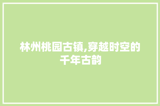 林州桃园古镇,穿越时空的千年古韵  第1张