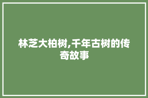 林芝大柏树,千年古树的传奇故事  第1张