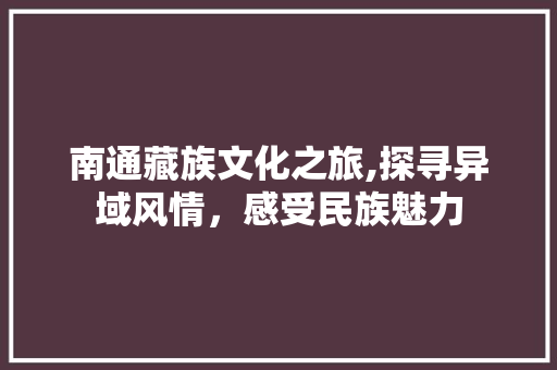 南通藏族文化之旅,探寻异域风情，感受民族魅力