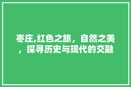 枣庄,红色之旅，自然之美，探寻历史与现代的交融