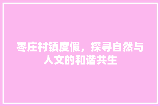 枣庄村镇度假，探寻自然与人文的和谐共生