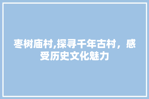 枣树庙村,探寻千年古村，感受历史文化魅力