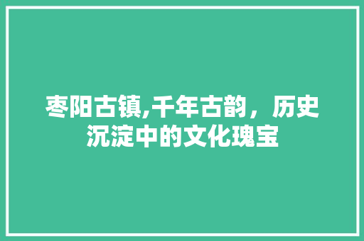 枣阳古镇,千年古韵，历史沉淀中的文化瑰宝