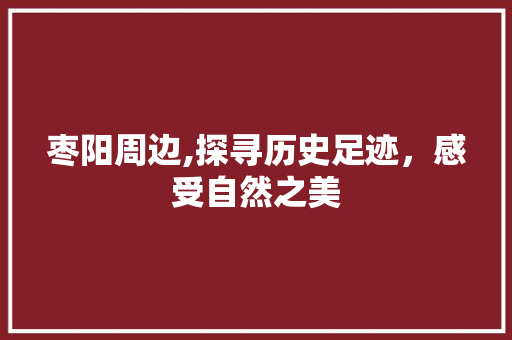 枣阳周边,探寻历史足迹，感受自然之美  第1张