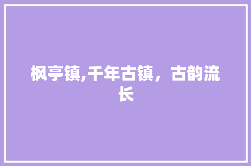 枫亭镇,千年古镇，古韵流长  第1张