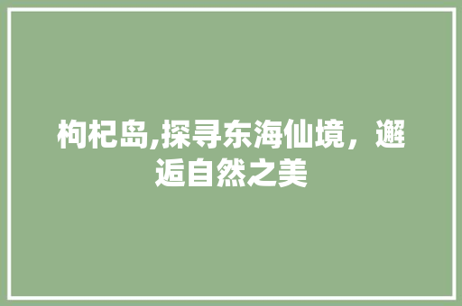 枸杞岛,探寻东海仙境，邂逅自然之美  第1张