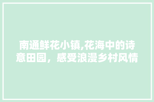 南通鲜花小镇,花海中的诗意田园，感受浪漫乡村风情