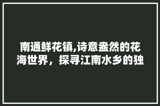 南通鲜花镇,诗意盎然的花海世界，探寻江南水乡的独特魅力