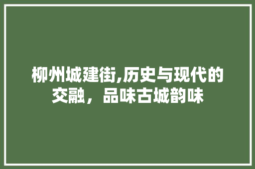 柳州城建街,历史与现代的交融，品味古城韵味  第1张