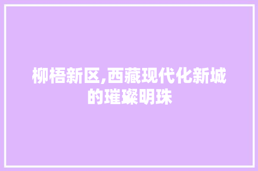 柳梧新区,西藏现代化新城的璀璨明珠