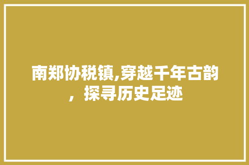 南郑协税镇,穿越千年古韵，探寻历史足迹