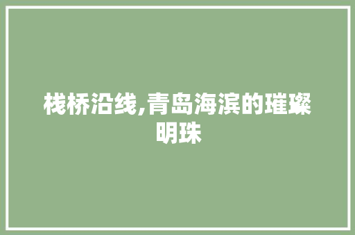 栈桥沿线,青岛海滨的璀璨明珠  第1张