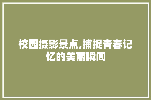 校园摄影景点,捕捉青春记忆的美丽瞬间