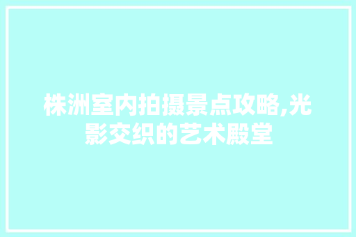 株洲室内拍摄景点攻略,光影交织的艺术殿堂