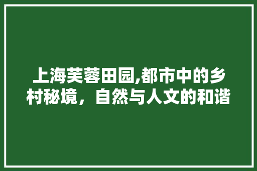 上海芙蓉田园,都市中的乡村秘境，自然与人文的和谐交响  第1张