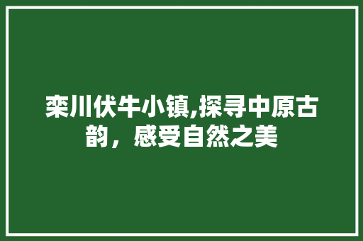 栾川伏牛小镇,探寻中原古韵，感受自然之美