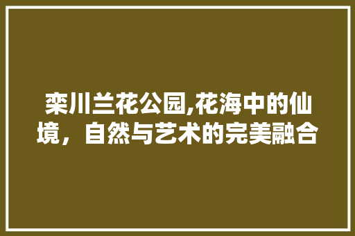 栾川兰花公园,花海中的仙境，自然与艺术的完美融合