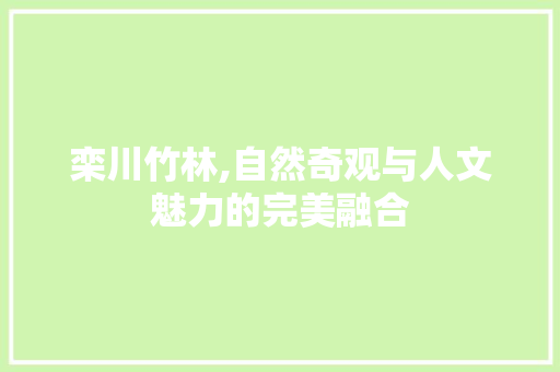 栾川竹林,自然奇观与人文魅力的完美融合  第1张