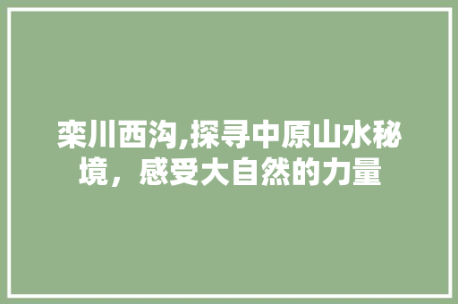 栾川西沟,探寻中原山水秘境，感受大自然的力量  第1张