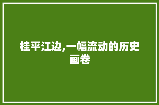 桂平江边,一幅流动的历史画卷  第1张