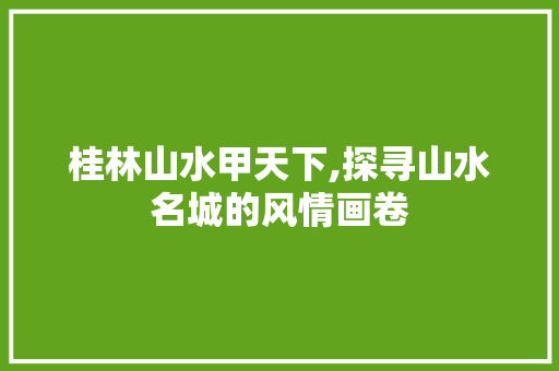 桂林山水甲天下,探寻山水名城的风情画卷  第1张