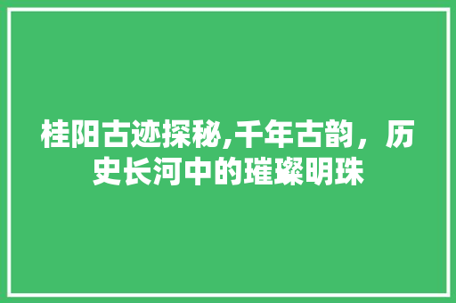 桂阳古迹探秘,千年古韵，历史长河中的璀璨明珠