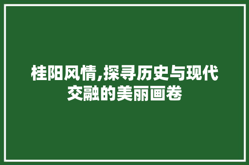 桂阳风情,探寻历史与现代交融的美丽画卷