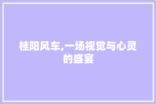 桂阳风车,一场视觉与心灵的盛宴