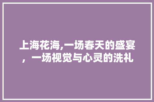 上海花海,一场春天的盛宴，一场视觉与心灵的洗礼  第1张