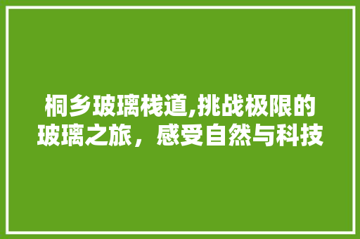 桐乡玻璃栈道,挑战极限的玻璃之旅，感受自然与科技的完美融合