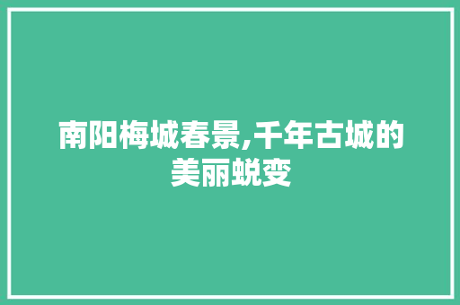 南阳梅城春景,千年古城的美丽蜕变  第1张